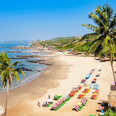 India Beach Hotels 
