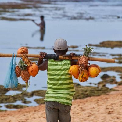 43 Citrus Hotel Mg 2156 1 1920x1280