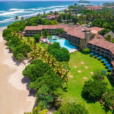 49 The Palms Experiences Cover