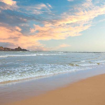 49 The Palms Or 5210 Edit