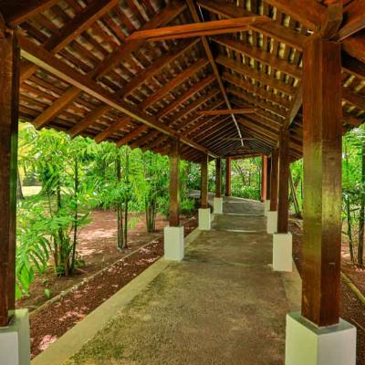 49 The Palms Or 5382